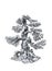 A beautiful tree, a drawing. Drawing Â deciduous tree in the style of bonsai.